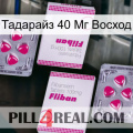 Тадарайз 40 Мг Восход 33